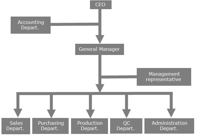 company structure